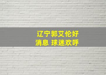 辽宁郭艾伦好消息 球迷欢呼